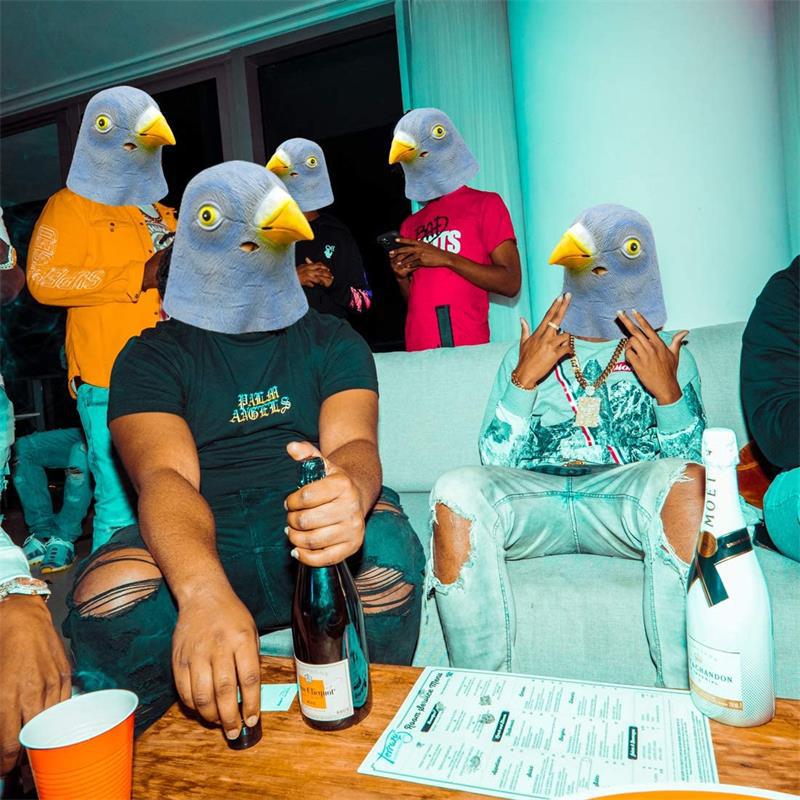 Máscara de Paloma, Disfraz Nov - Skincare Pigeon reseña y precio